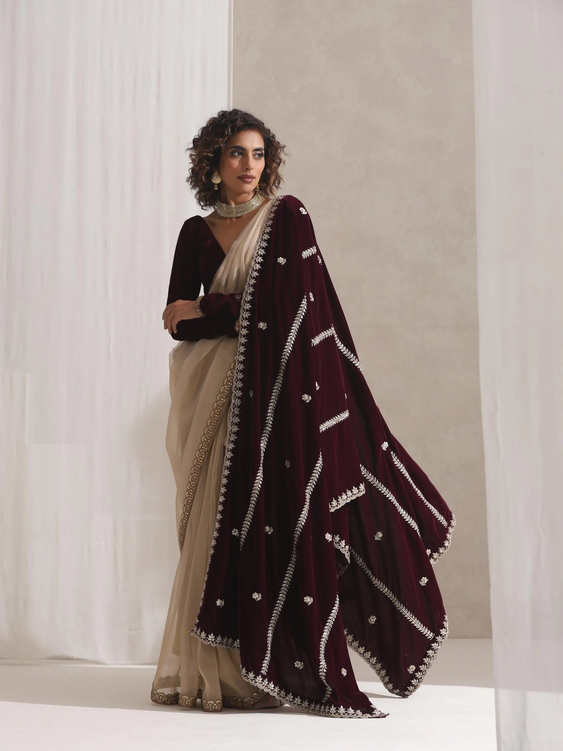 Alchemist Gold Soft Tissue Banarasi Saree with Lace with Velvet Blouse Fabric