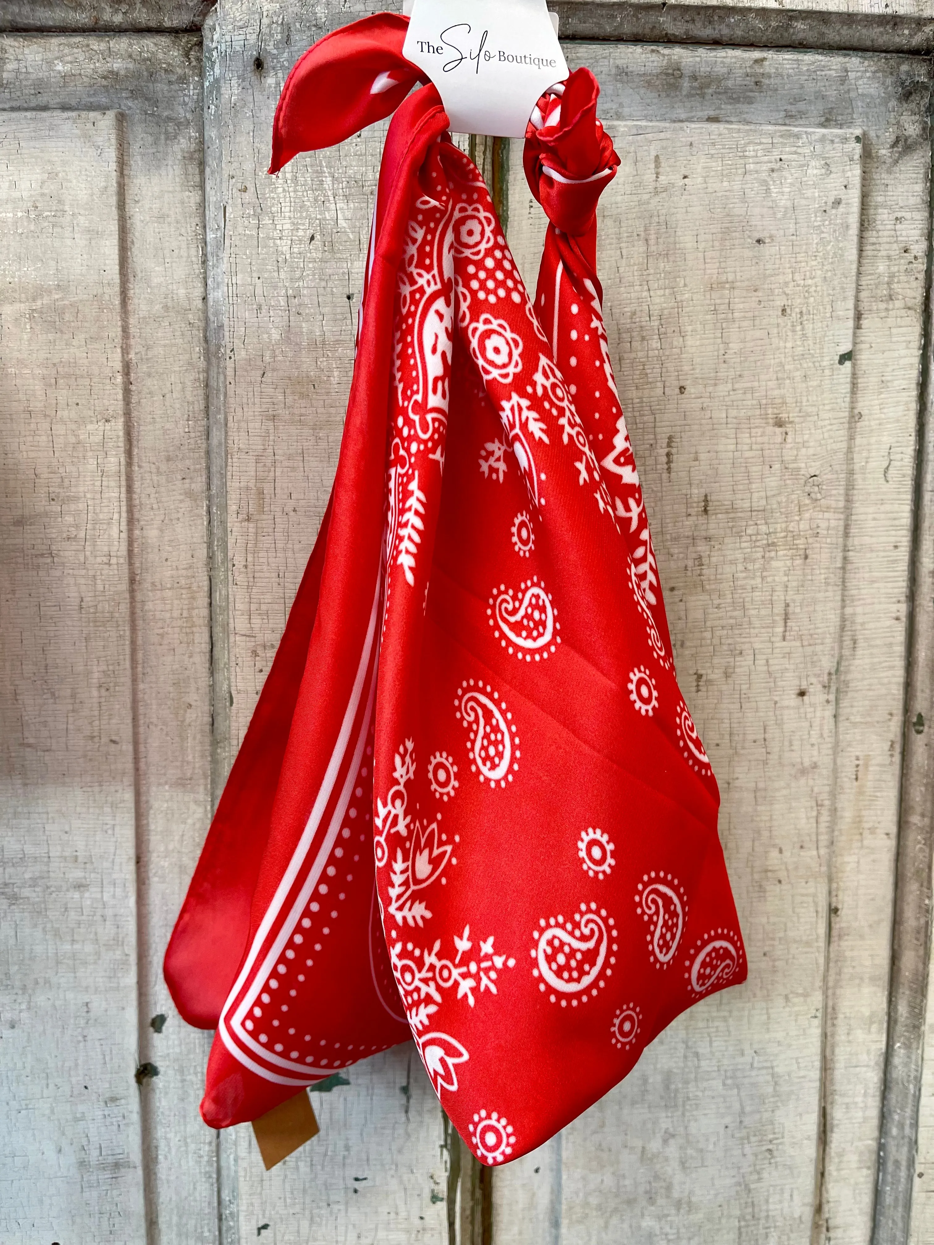 Paisley Bandana Satin Scarf