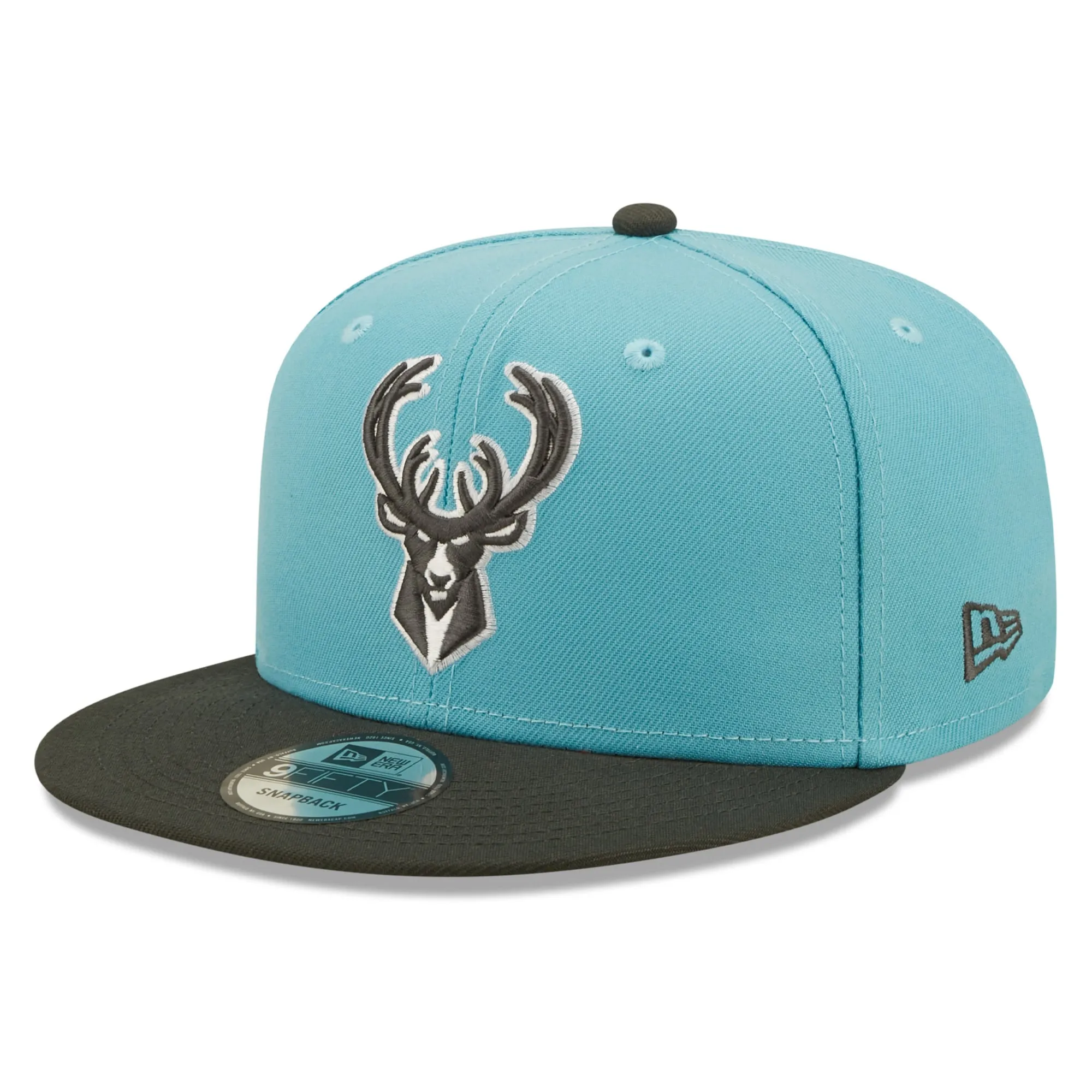 Two-Tone 9FIFTY Snapback Hat NBA
