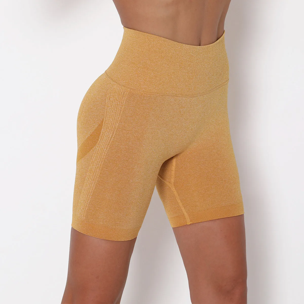 ZABRI Sports Butt lift Gym Yoga Seamless Scrunch Tight Fit Fitness Shorts